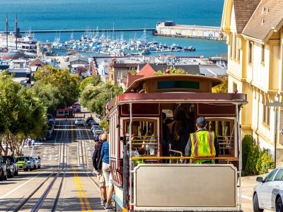 shutterstock_2091271909-Groot