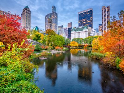 Central,Park,During,Autumn,In,New,York,City.
